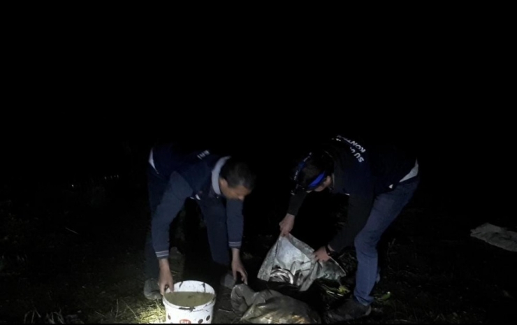 Van Gölü’nde Kaçak Balık Avcılığı