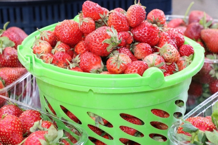 Pazara İnen Çilek 1 Saatte Tükendi