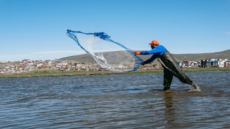 Sular Altında Kalan Ovada Balık Avı