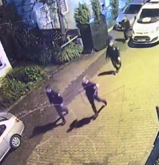 Ayılar Artvin’i Mesken Tuttu