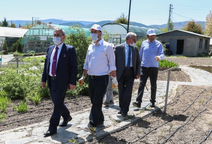 Başkan Işık, Hekim Sinan Tıbbi Bitkiler Araştırma Merkezi’ni Ziyaret Etti