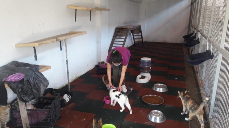 Çocuklar İzin Saatlerini Can Dostlarıyla Geçirdi