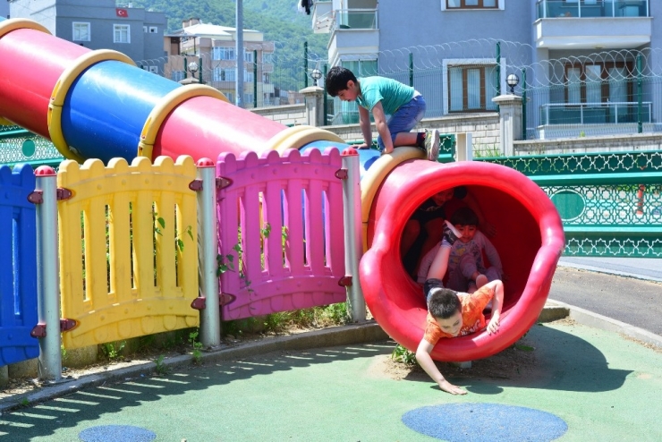 Kırk Günlük Hasret Bitti