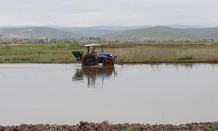 Sungurlu’da Çeltik Ekimi Başladı