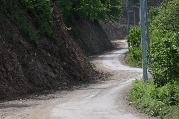 Asfalt Çalışmasında Çiçek Detayı