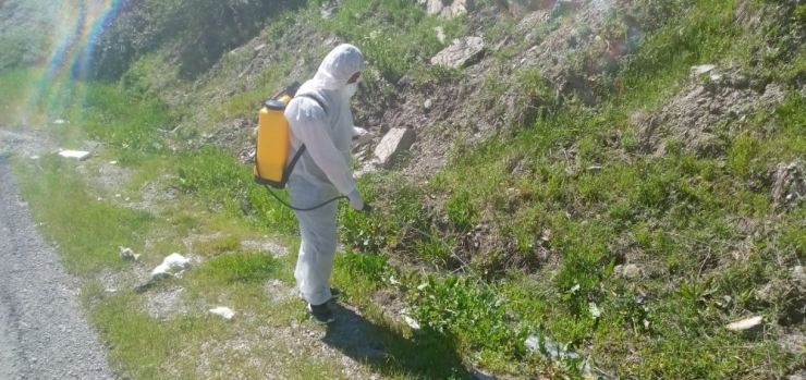 Hakkari’de Dere Yatakları Larvalara Karşı İlaçlanıyor