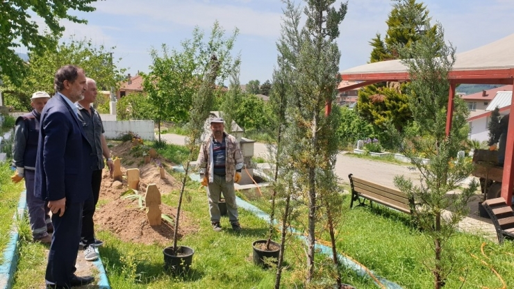 Kaynaşlı’da Mezarlıkta Düzenleme Yapılıyor