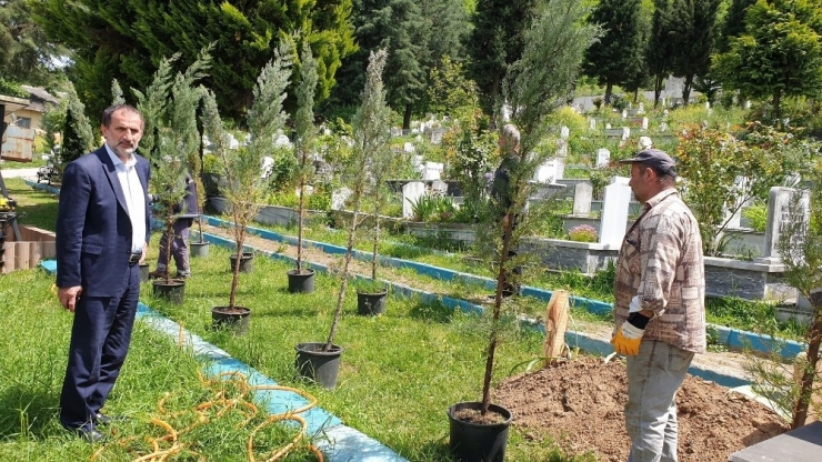 Kaynaşlı’da Mezarlıkta Düzenleme Yapılıyor