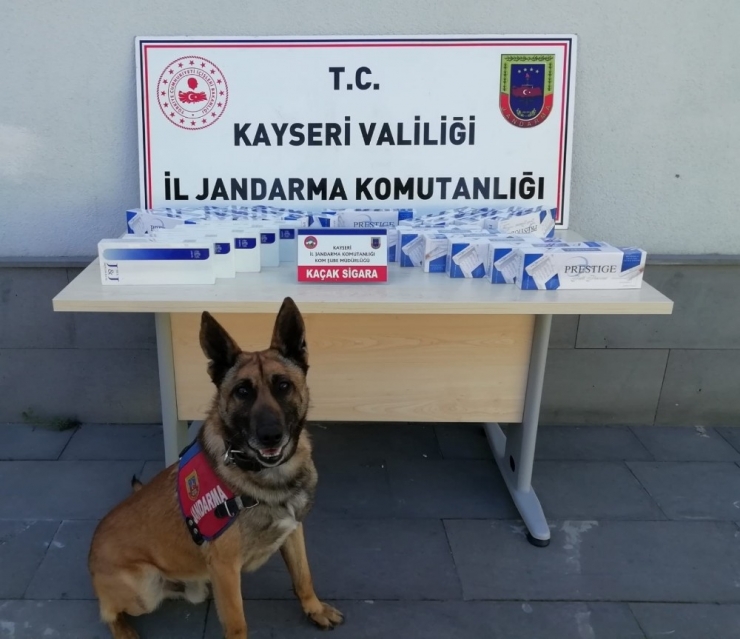 Karga Aracında 2 Ton 250 Kilo Kaçak Sarmalık Kıyılmış Tütün Ele Geçirildi