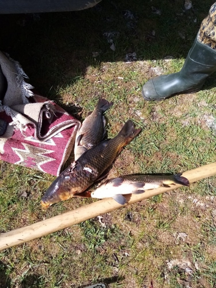 Beyşehir Gölünde Yasa Dışı Avlanmaya 46 Bin 800 Lira Ceza