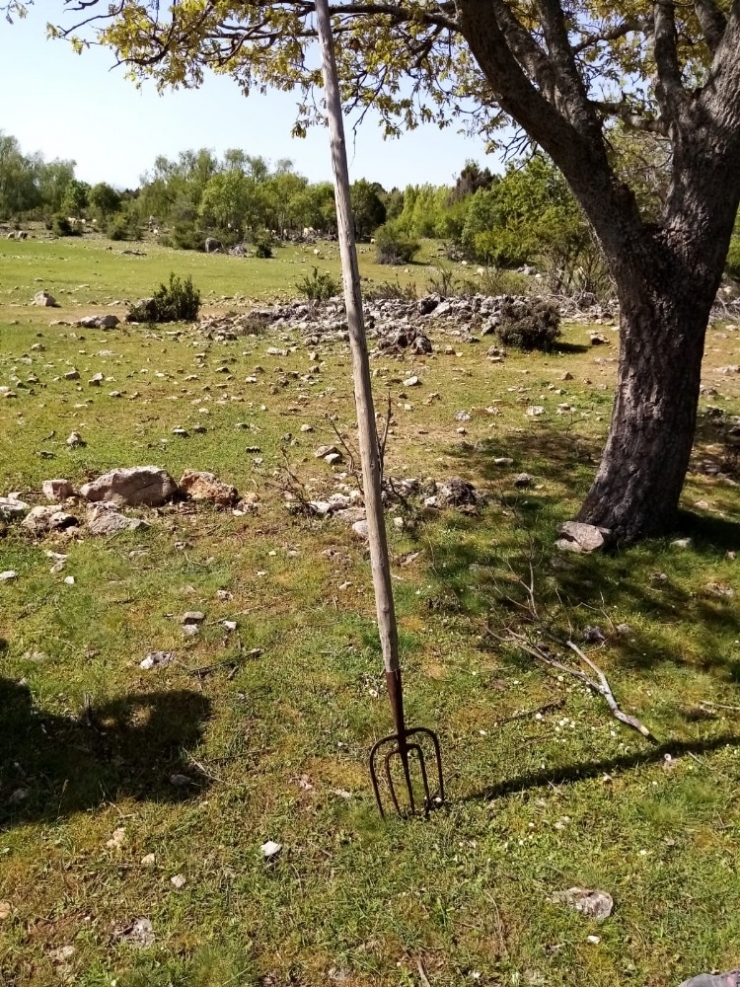 Beyşehir Gölünde Yasa Dışı Avlanmaya 46 Bin 800 Lira Ceza