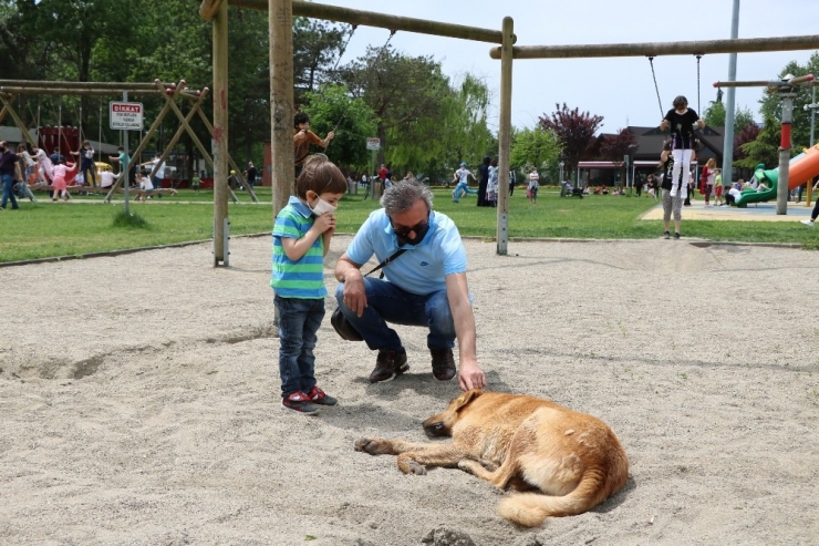 Sakarya’da Park Ve Sokaklar Çocukları Özlemiş