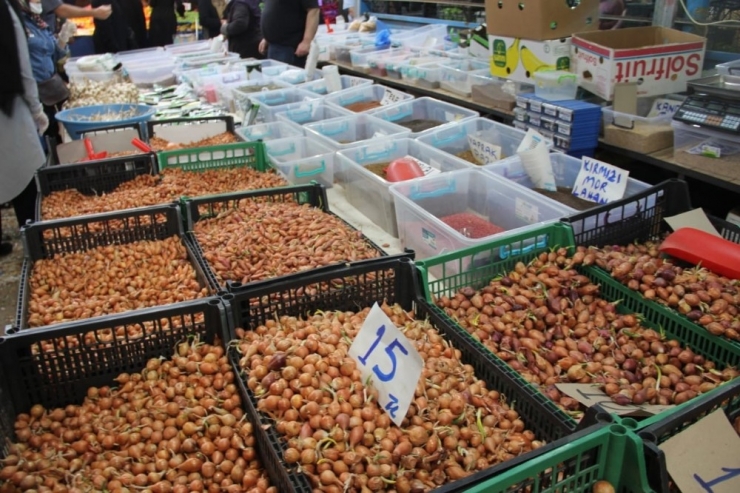 Korona Virüs Tohum Satışlarını Patlattı