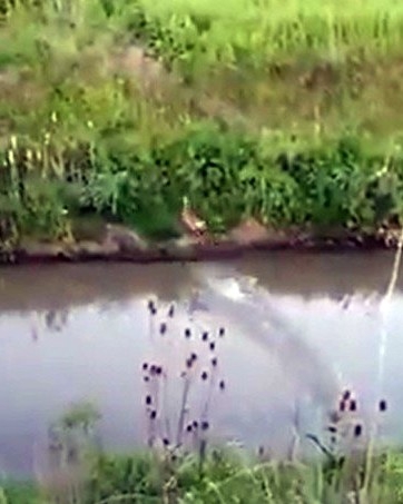 Köylülerin Kamerasına Takıldı: Karaca Köye İndi