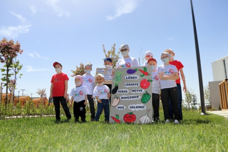 Lösev Çocukları Sağlıklı Beslenme İçin Kolları Sıvadı