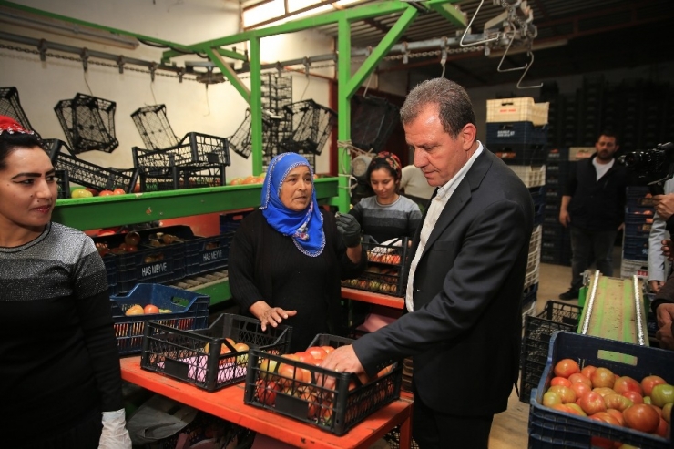 Seçer: “Üreticilere Desteğimize Hiç Ara Vermeden Devam Edeceğiz”