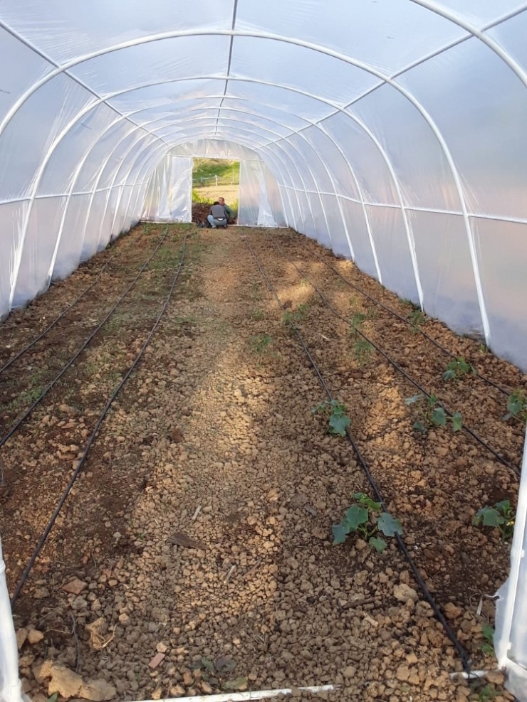 Sinop’ta Seracılık Ve Bahçe Tarımına İlgi Arttı