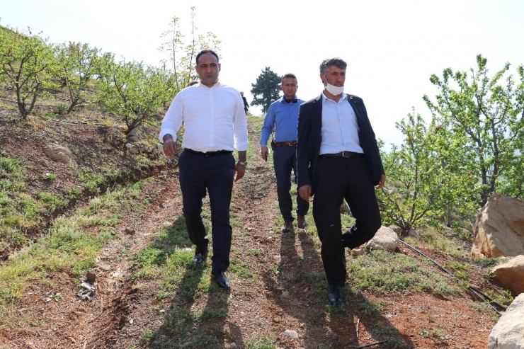 Başkan Yılmaz, Yaylalarda İncelemelerde Bulundu