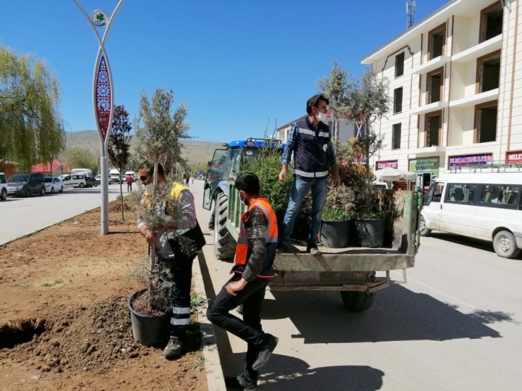 Gürpınar Belediyesinden Hummalı Çalışma