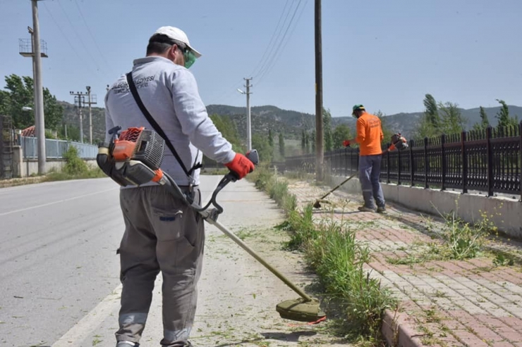 Yabanı Otlar Temizlendi