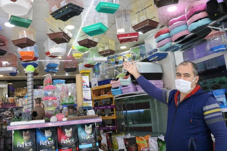 Evcil Hayvanlara Talep Patladı