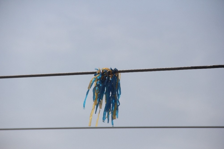 Dilara Hayatta Kalma Savaşı Veriyor