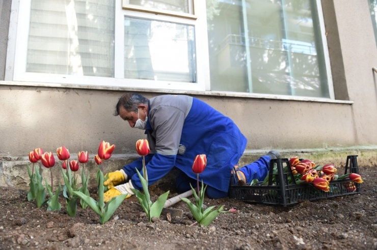 Pandeminin Kalbinde Güçlü Dayanışma