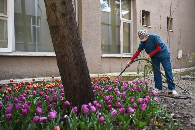 Pandeminin Kalbinde Güçlü Dayanışma