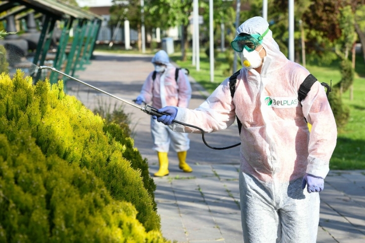 Ankara’da Sinek Ve Haşerelere Karşı İlaçlama