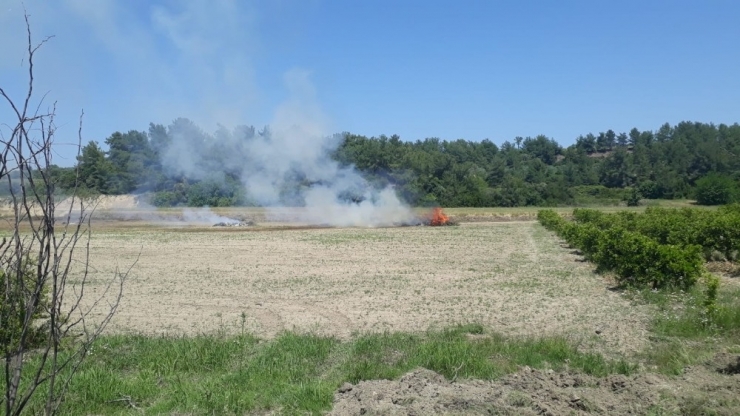 Anız Yakma Dönemi Başladı