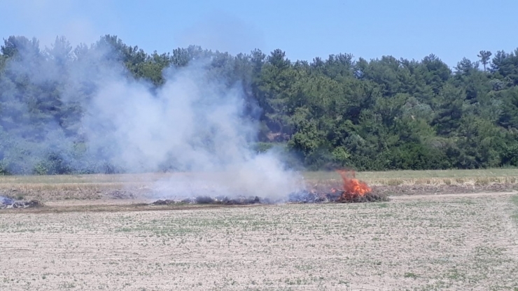 Anız Yakma Dönemi Başladı