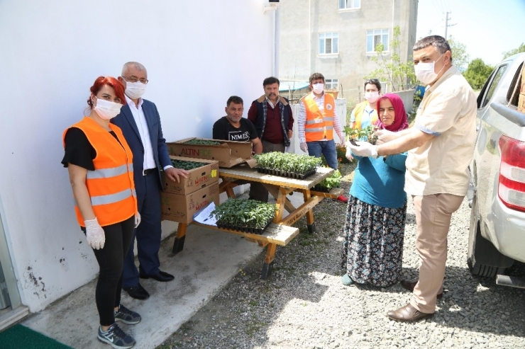 Atakum’dan 600 Üreticiye 21 Bin Fide Desteği