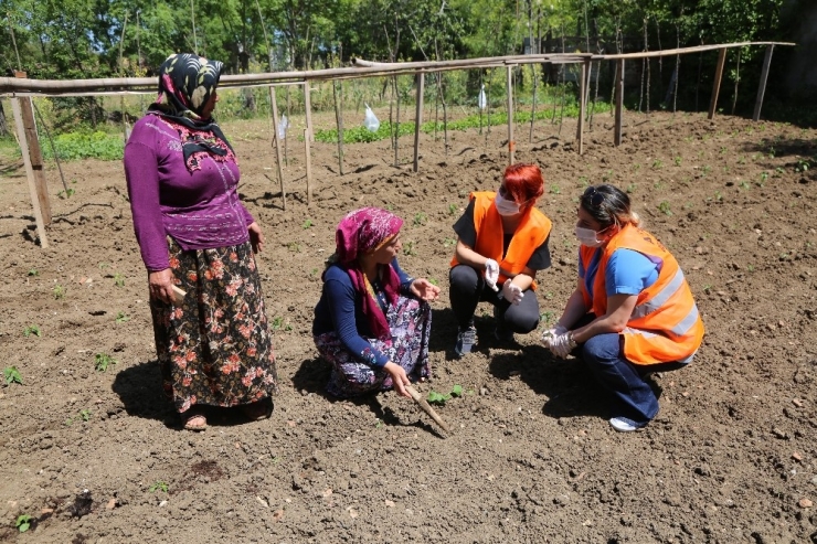 Atakum’dan 600 Üreticiye 21 Bin Fide Desteği