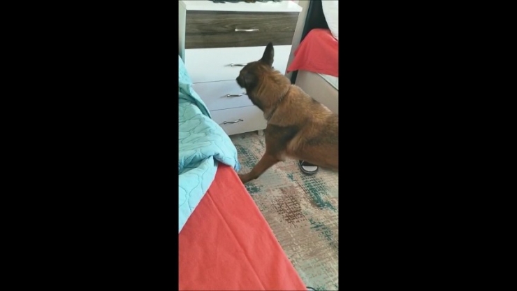 Bursa’da Uyuşturucu Operasyonu: 4 Gözaltı