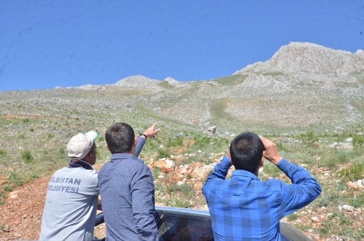 Mantar Toplamak İçin Gittiği Dağda Cansız Bedeni Bulundu
