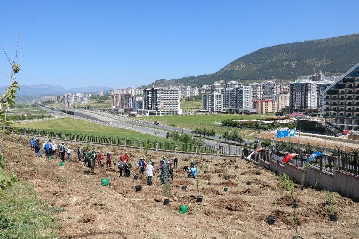 Kahramanmaraş’ta 400 Sağlık Çalışanı İçin 400 Fidan