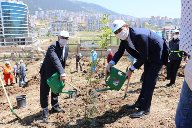Kahramanmaraş’ta 400 Sağlık Çalışanı İçin 400 Fidan