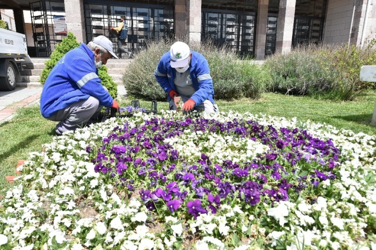 Mamak Botanik Bahçesine Dönüştü