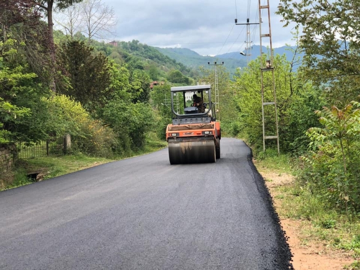 Ordu’da Asfalt Seferberliği