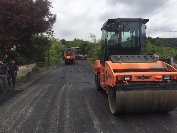 Ordu’da Asfalt Seferberliği