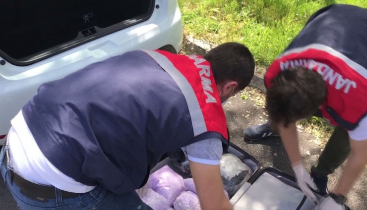 Jandarmadan Uyuşturucu Şebekesine Darbe: 8 Gözaltı